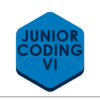 JUNIOR VI