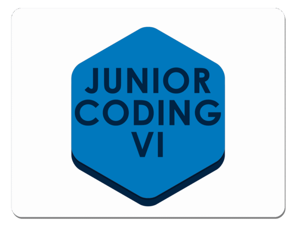 JUNIOR VI